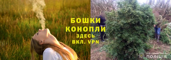 спиды Медногорск